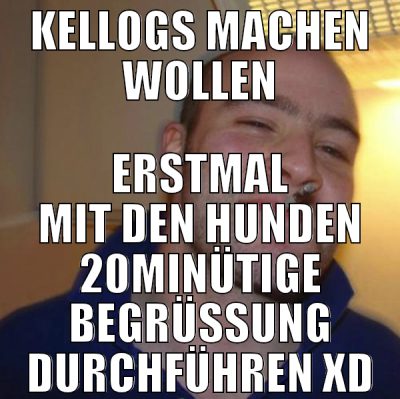 kellogs machen wollen erstmal mit den hunden 20min