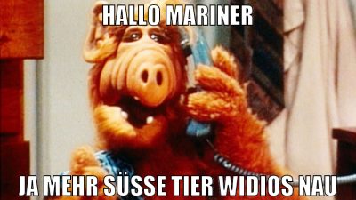 hallo mariner ja mehr süße tier widios nau