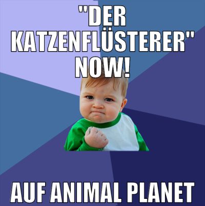 "Der Katzenflüsterer" now! auf Animal Planet