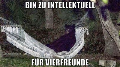 bin zu intellektuell für vierfreunde