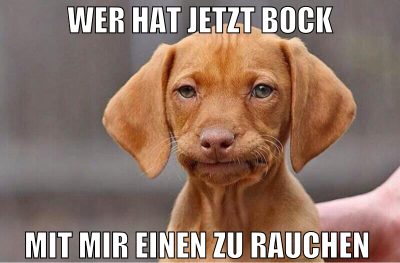wer hat jetzt bock MIT MIR EINEN ZU RAUCHEN