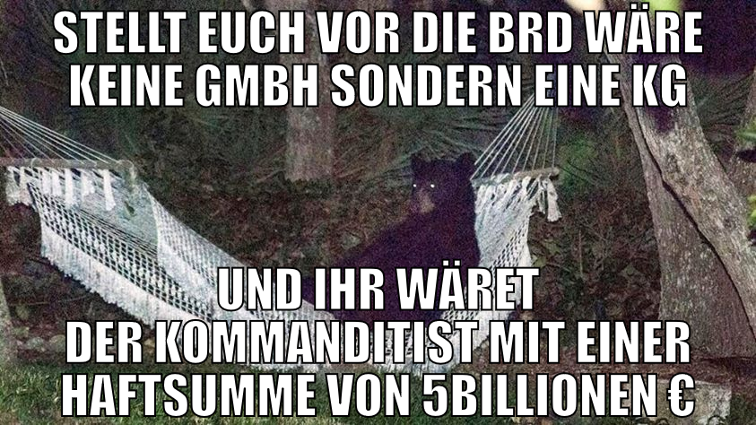 Stellt euch vor die brd wäre keine gmbh sondern ei