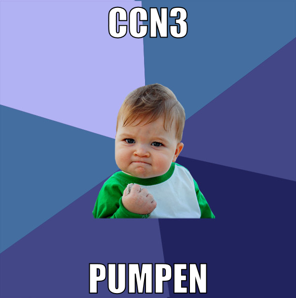 ccn3 pumpen