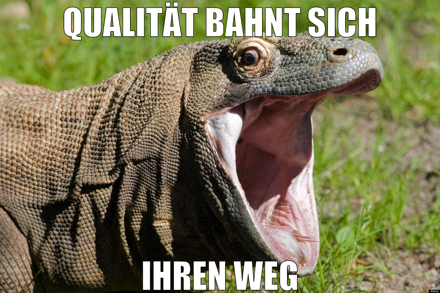 qualität bahnt sich ihren weg