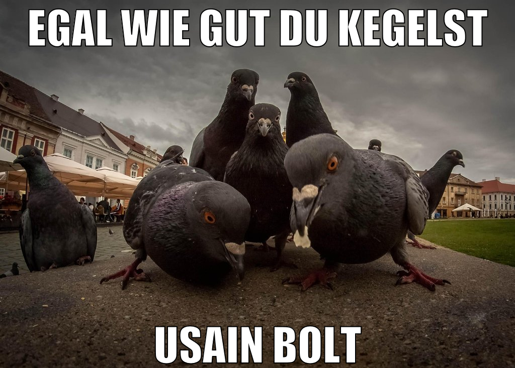 egal wie gut du kegelst usain bolt