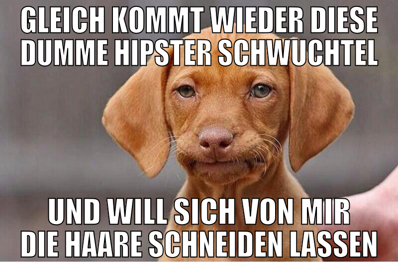 gleich kommt wieder diese dumme hipster schwuchtel