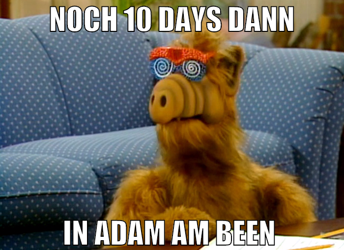 noch 10 days dann in adam am been