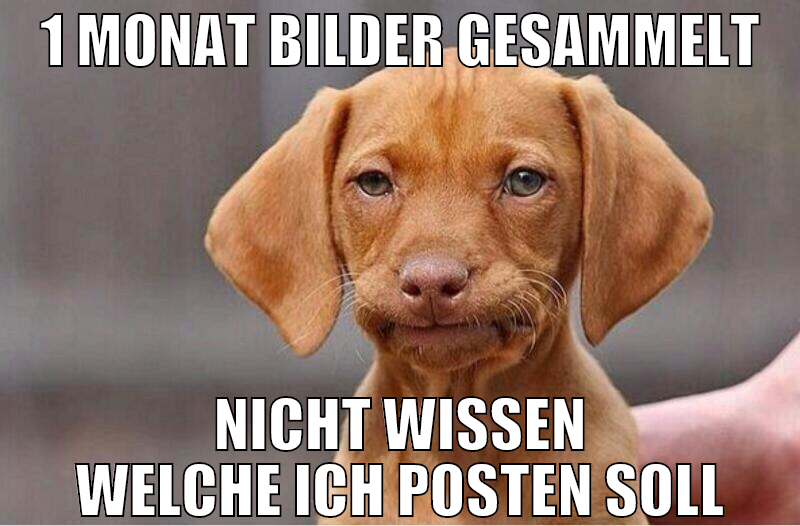 1 Monat bilder gesammelt nicht wissen welche ich p