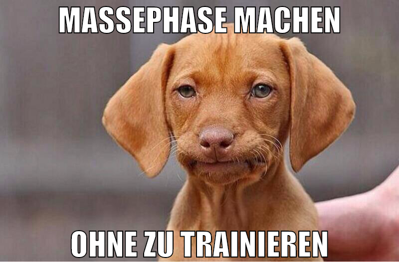 Massephase machen ohne zu trainieren