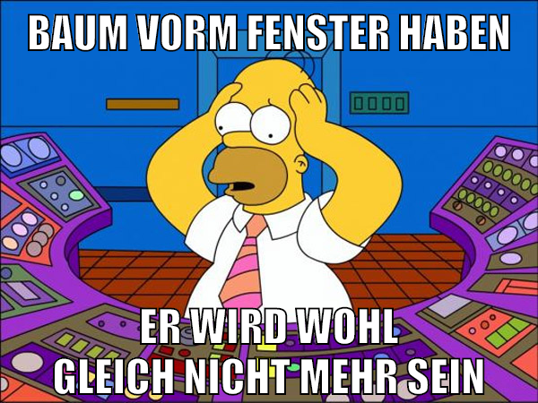 Baum vorm Fenster haben er wird wohl gleich nicht mehr sein