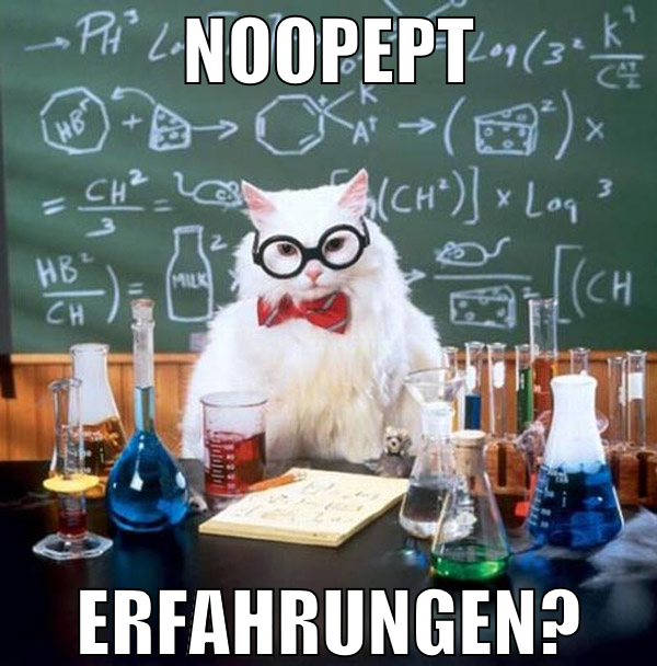 noopept erfahrungen?