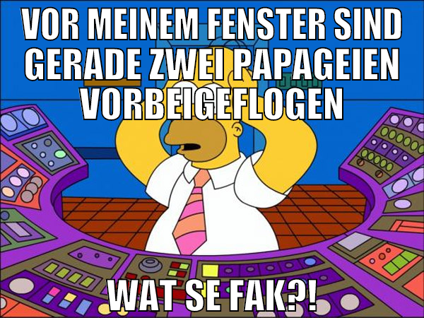 vor meinem fenster sind gerade zwei papageien vorb