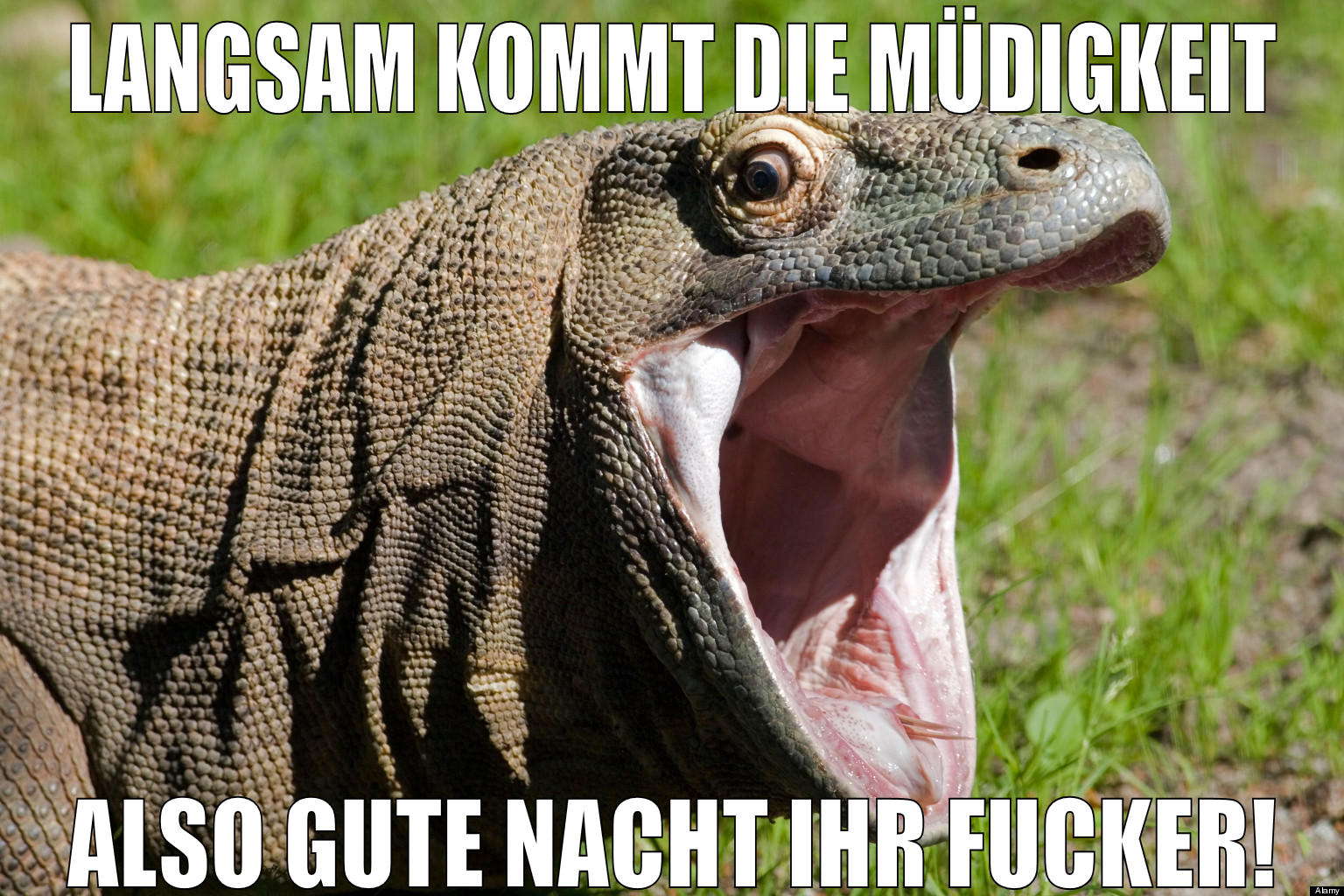 langsam kommt die müdigkeit also gute nacht ihr fu