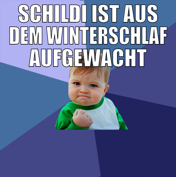schildi ist aus dem winterschlaf aufgewacht