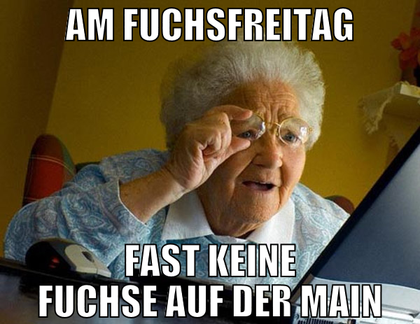 am fuchsfreitag fast keine fuchse auf der main