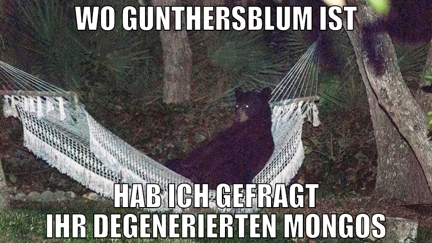 wo gunthersblum ist hab ich gefragt ihr degenerier
