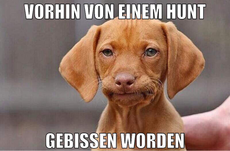 vorhin von einem hunt gebissen worden