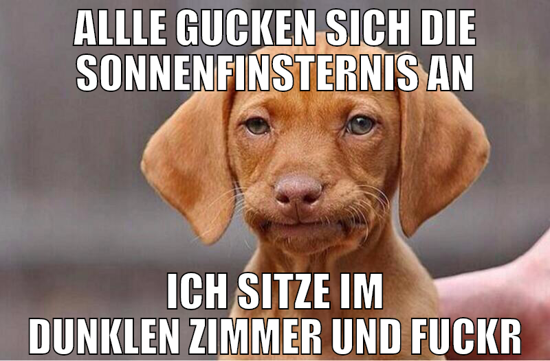 allle gucken sich die sonnenfinsternis an ICH SITZ