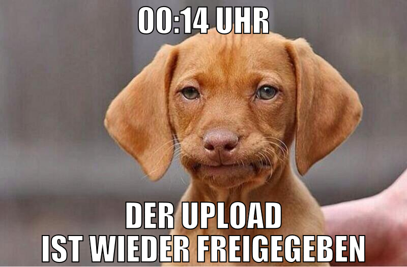 00:14 Uhr Der Upload ist wieder freigegeben