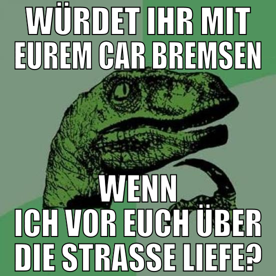 würdet ihr mit eurem car bremsen wenn ich vor euch