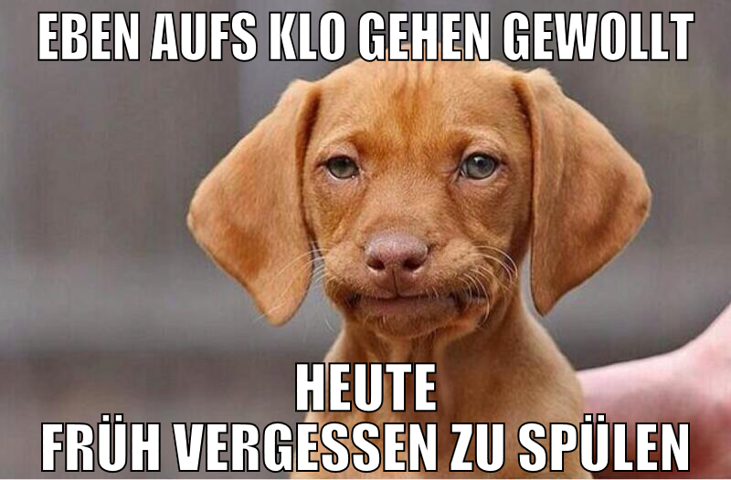 Eben aufs klo gehen gewollt heute früh vergessen z