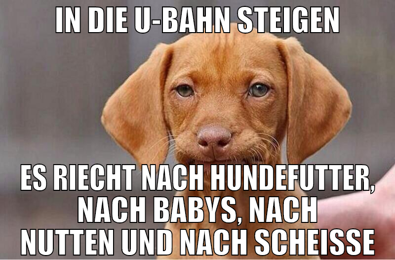 In die U-Bahn steigen es riecht nach HundeFutter,