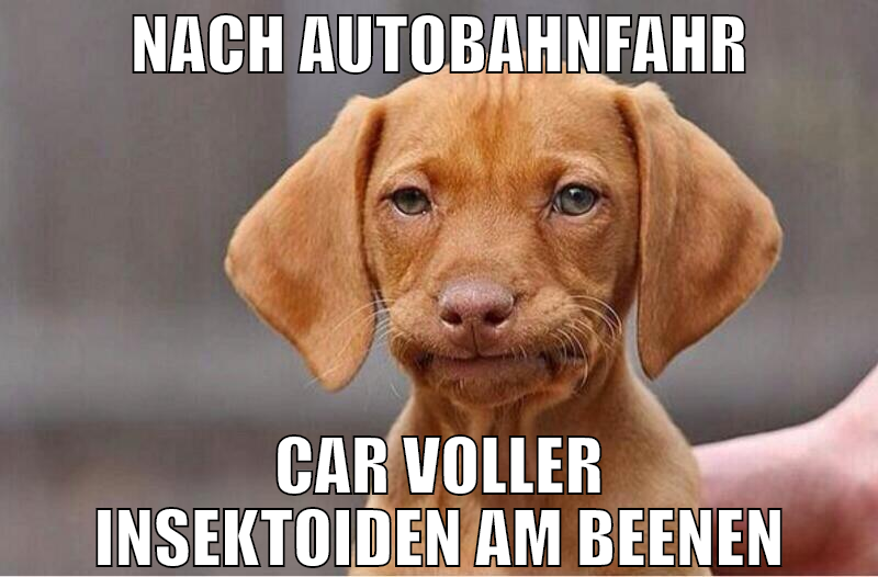 nach autobahnfahr car voller insektoiden am beenen