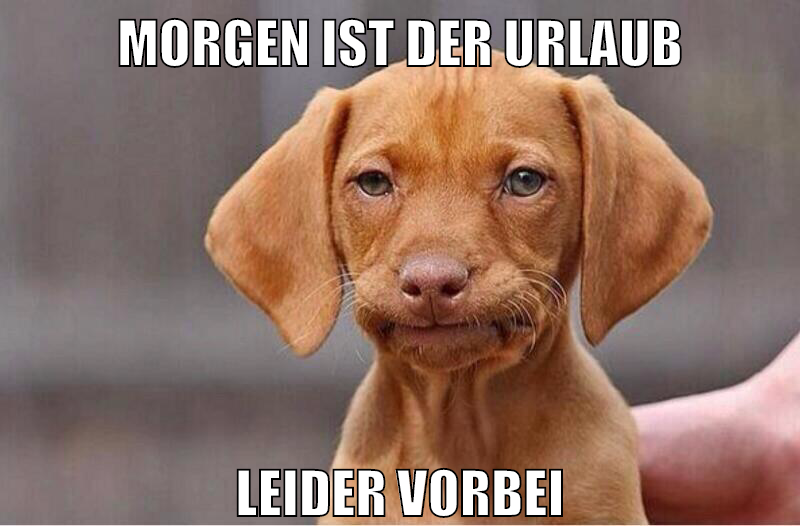 morgen ist der urlaub leider vorbei