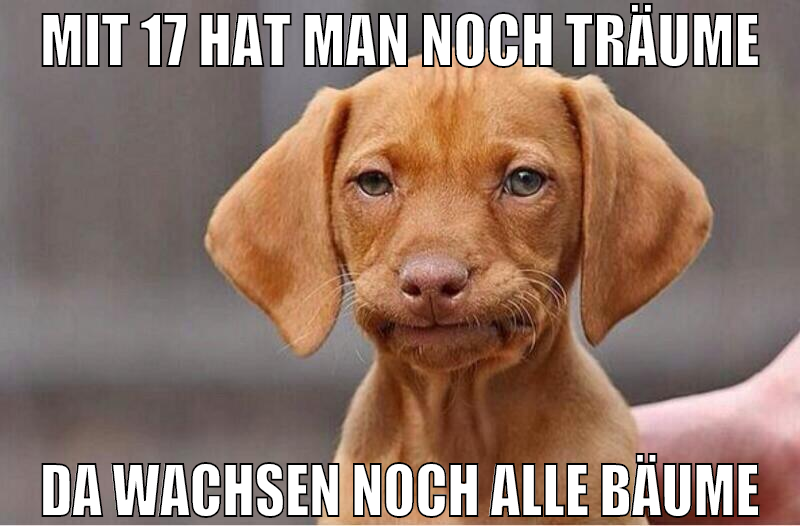 mit 17 hat man noch träume da wachsen noch alle bä