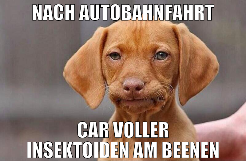 nach autobahnfahrt car voller insektoiden am beene