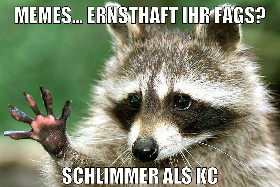 memes... ernsthaft ihr fags? schlimmer als kc