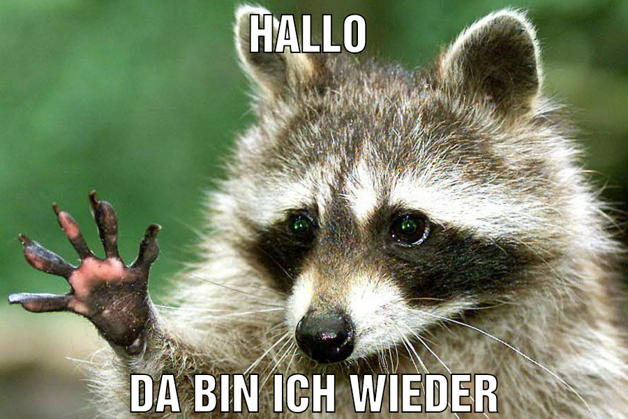 hallo da bin ich wieder