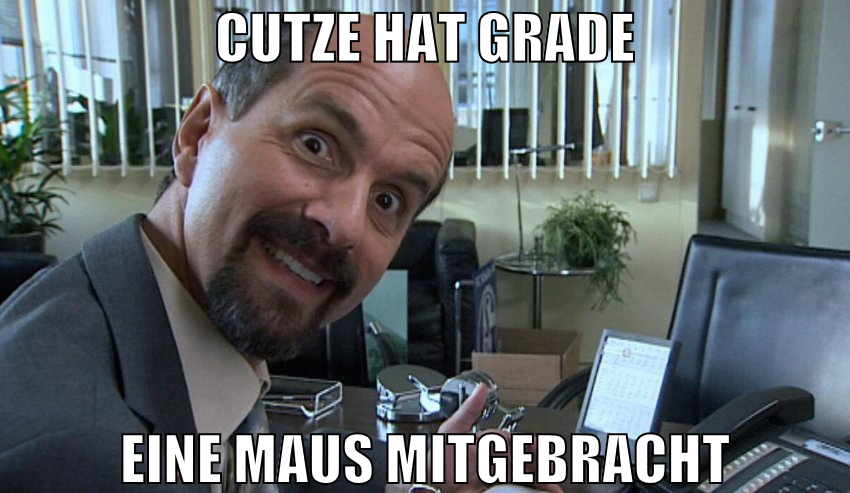 cutze hat grade eine maus mitgebracht