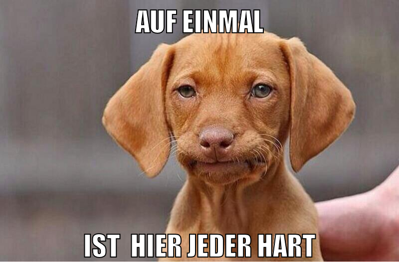 AUF EINMAL IST  HIER JEDER HART