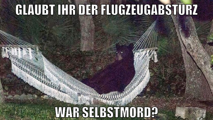 glaubt ihr der flugzeugabsturz war selbstmord?