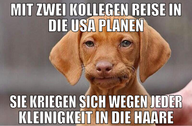 Mit zwei Kollegen Reise in die Usa planen sie krie