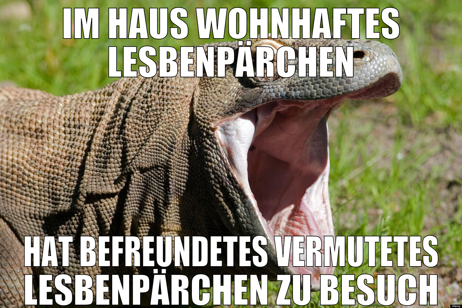 im Haus wohnhaftes Lesbenpärchen hat befreundetes