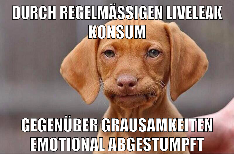 durch regelmäßigen liveleak konsum gegenüber grausamkeiten emotional abgestumpft