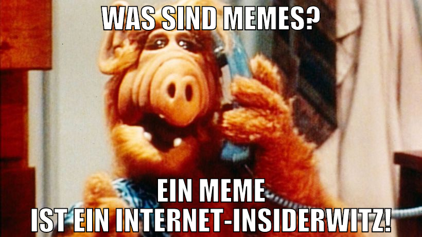 Was sind Memes? Ein Meme ist ein Internet-Insiderw