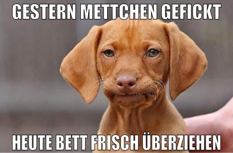 Gestern mettchen gefickt heute bett frisch überzie