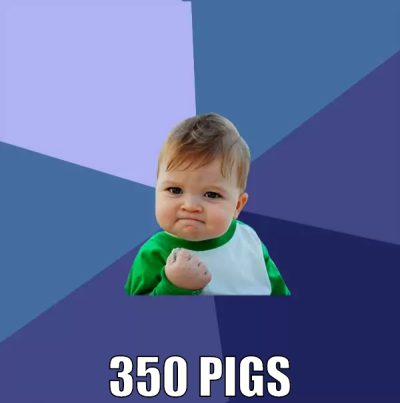 350 pigs