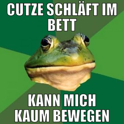 cutze schläft im bett kann mich kaum bewegen