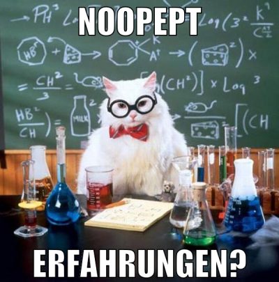 noopept erfahrungen?
