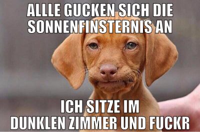 allle gucken sich die sonnenfinsternis an ICH SITZ