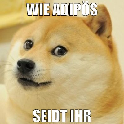 wie adipös seidt ihr