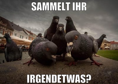sammelt ihr irgendetwas?