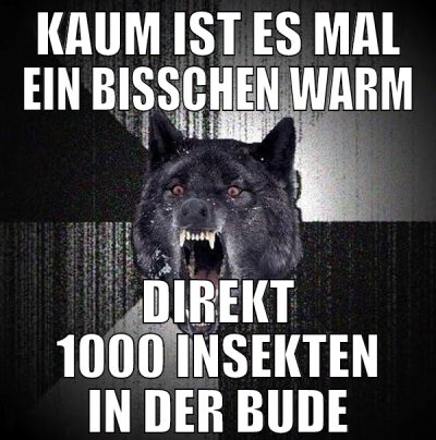 KAUM IST ES MAL EIN BISSCHEN WARM DIREKT 1000 INSE