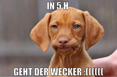 In 5 h  geht der Wecker :((((((
