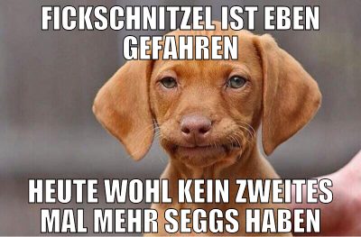 fickschnitzel ist eben gefahren heute wohl kein zw