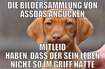 die bildersammlung von assdas angucken mitleid hab